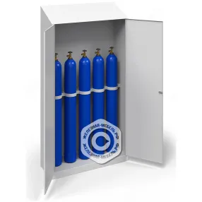 шкаф для 5-ти кислородных баллонов на 10 л. шгбк-014 усиленный с наклонной крышей